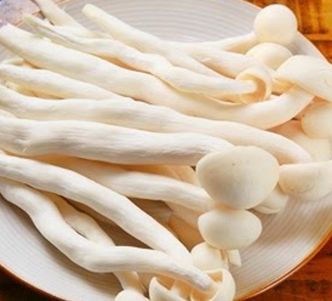 美白菇