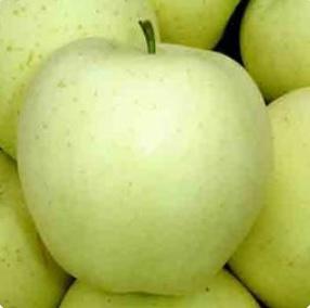 青蘋果
